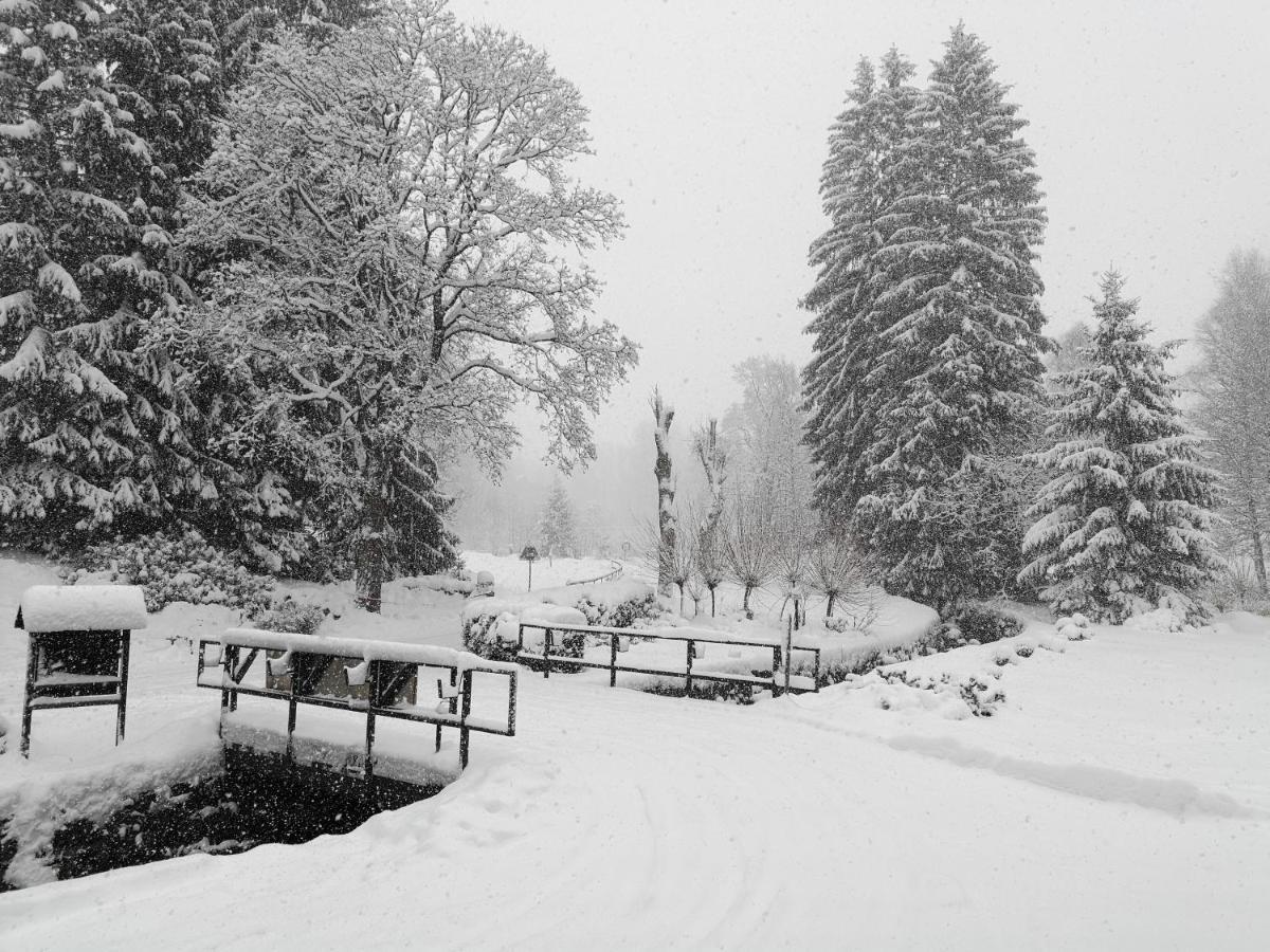 Penzion Bílá voda Harrachov Exterior foto